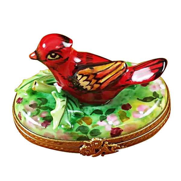 Cardinal - spring