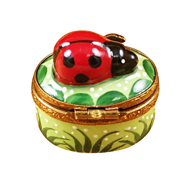 Mini Ladybug on Oval
