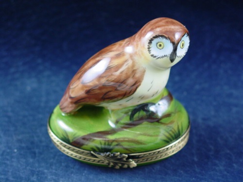NIGHT OWL
