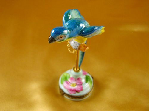 PARROT BLUE/HIBISCUS
