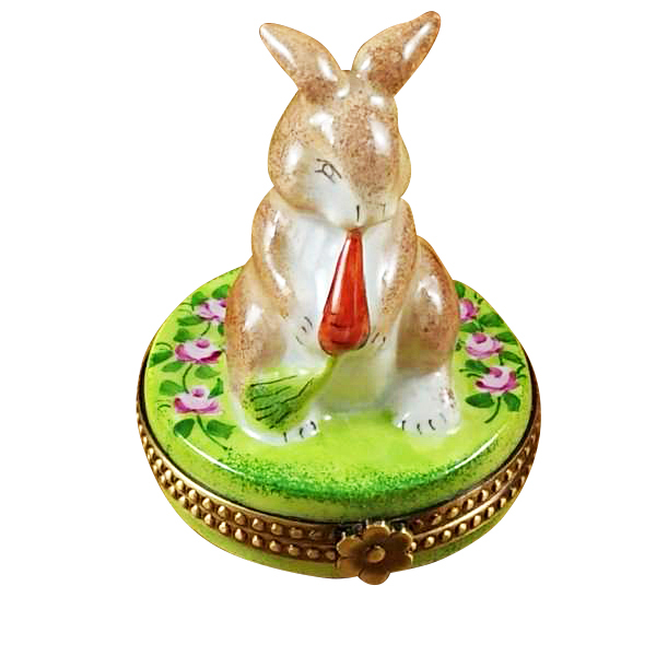 Rabbit With Carrot
