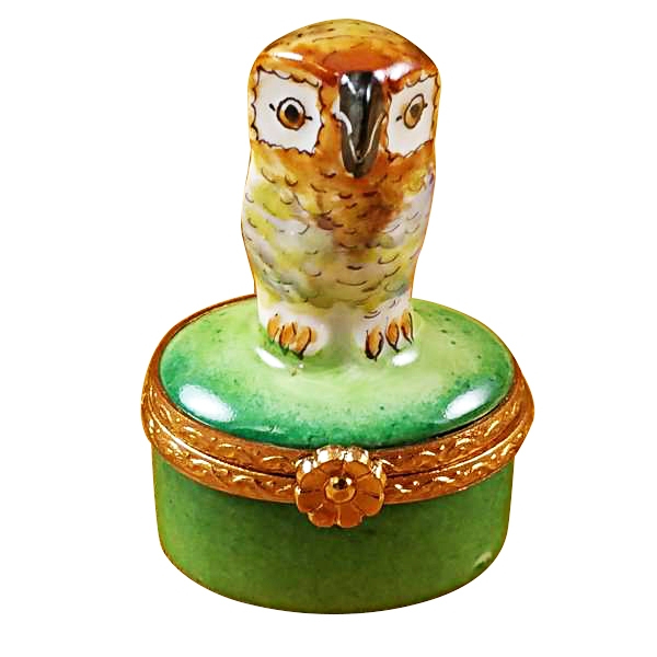 SMALL OWL ON GREEN BOX