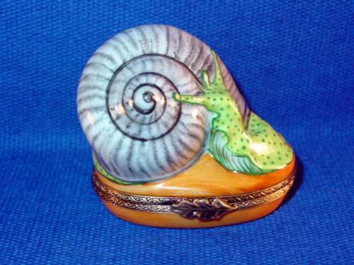 SNAIL