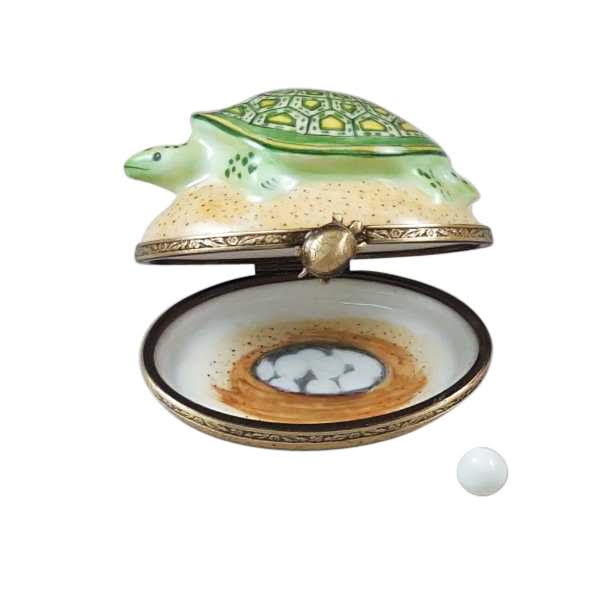 Turtle on sand with removable egg