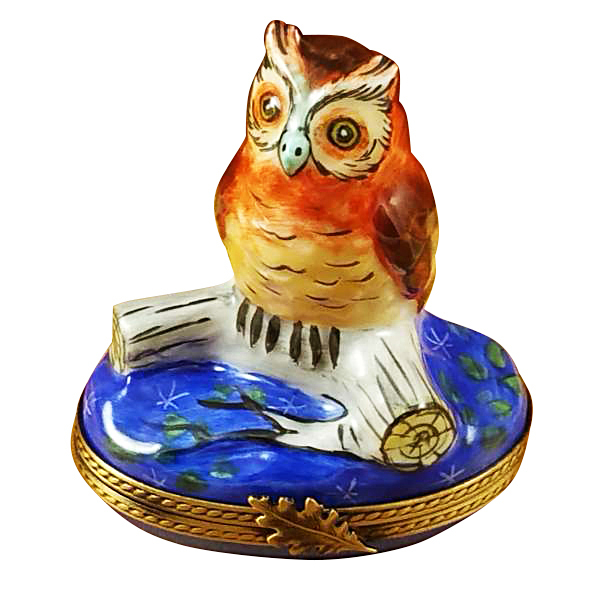 Wise Owl On Blue Base