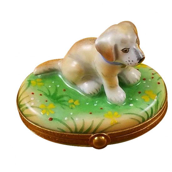 Blond labrador Limoges Boxes and Figurines Limoges Factory