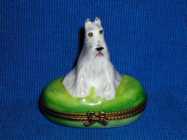 WHITE SCHNAUZER