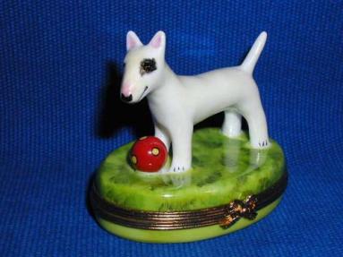 BULL TERRIER