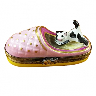 CAT IN SLIPPER