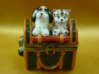 BAG WITH DOG AND CAT