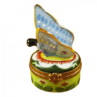 Butterfly Blue-Gold