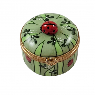 Ladybug In Grass