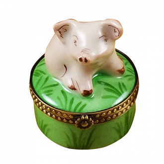 Mini Pig On Green Base
