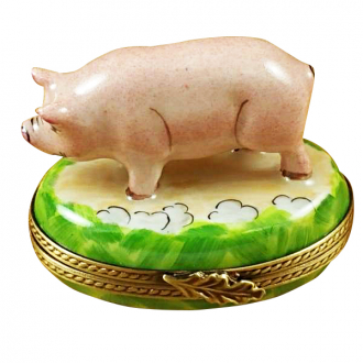Pig