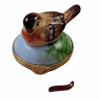 ROBIN WITH REMOVABLE WORM