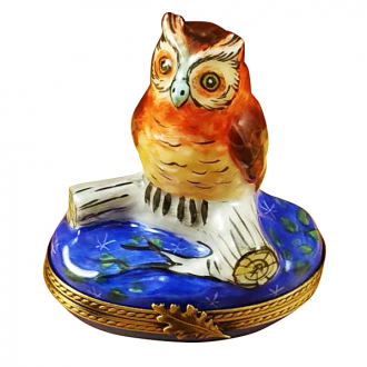 Wise Owl On Blue Base