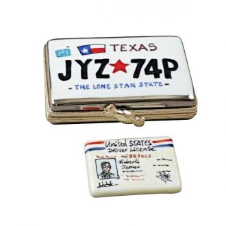TEXAS LICENSE PLATE WITH REMOVABLE LICENSE