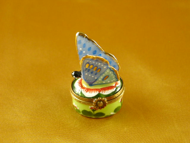 Butterfly blue-gold