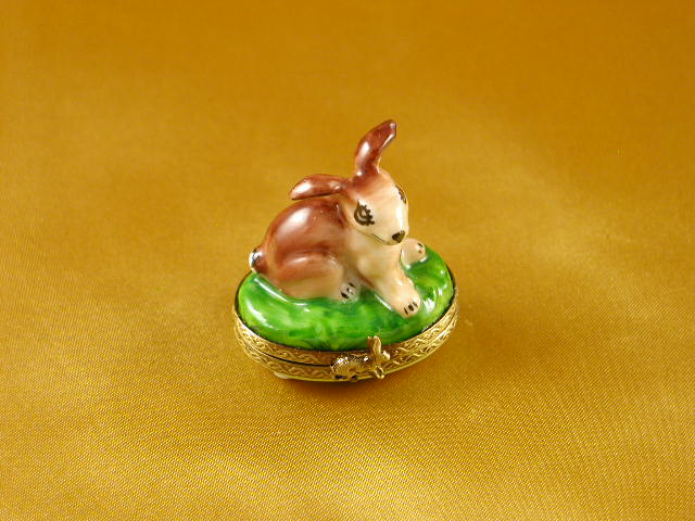 Mini rabbit
