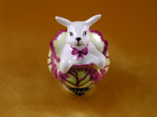Rabbit in cabbage