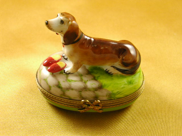 Sitting brown dachshund