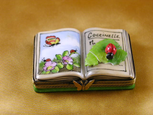 Book of insects