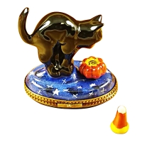 Cat Looking into Pumpkin with Removable Candy