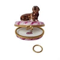 DACHSHUND WITH REMOVABLE BRASS DOG COLLAR
