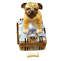 PUG WITH SPILT WATER & REMOVABLE BONE