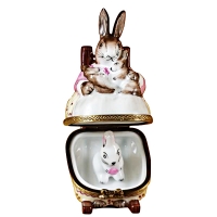 MOTHER RABBIT ROCKING