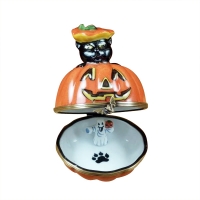 Black cat on jack o lantern with removable ghost