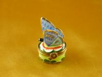 Butterfly blue-gold