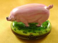 Pig on green base