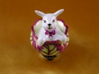 Rabbit in cabbage
