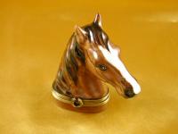 Horse head