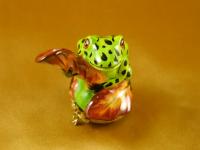 Frog playing w/leaf