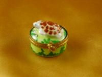 Mini turtle