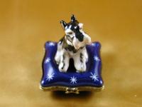 Schnauzer on blue pillow