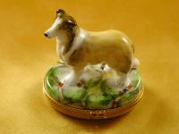 Collie