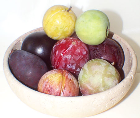 Assorted Plums