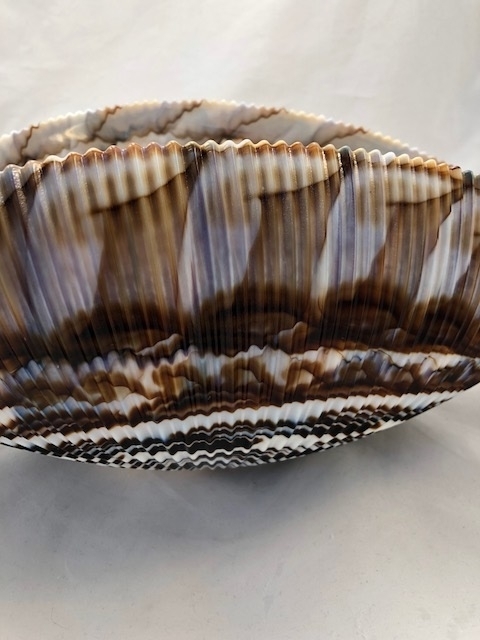 Murano Glass Ivory and Brown Shell Bowl