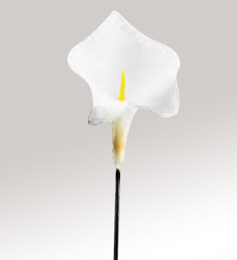 Murano Glass White Calla