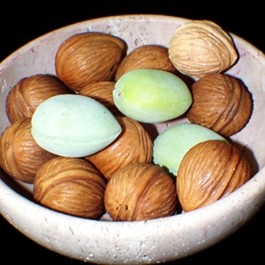Walnuts and almonds