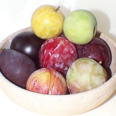 Assorted Plums