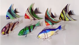 Fish School Colorfull assortment