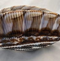 Murano Glass Ivory and Brown Shell Bowl