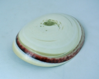 Beige and Red Striato Mignon Folded Bowl