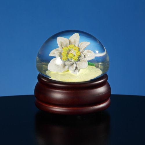 Edelweiss Flower Mushroom Water Globe