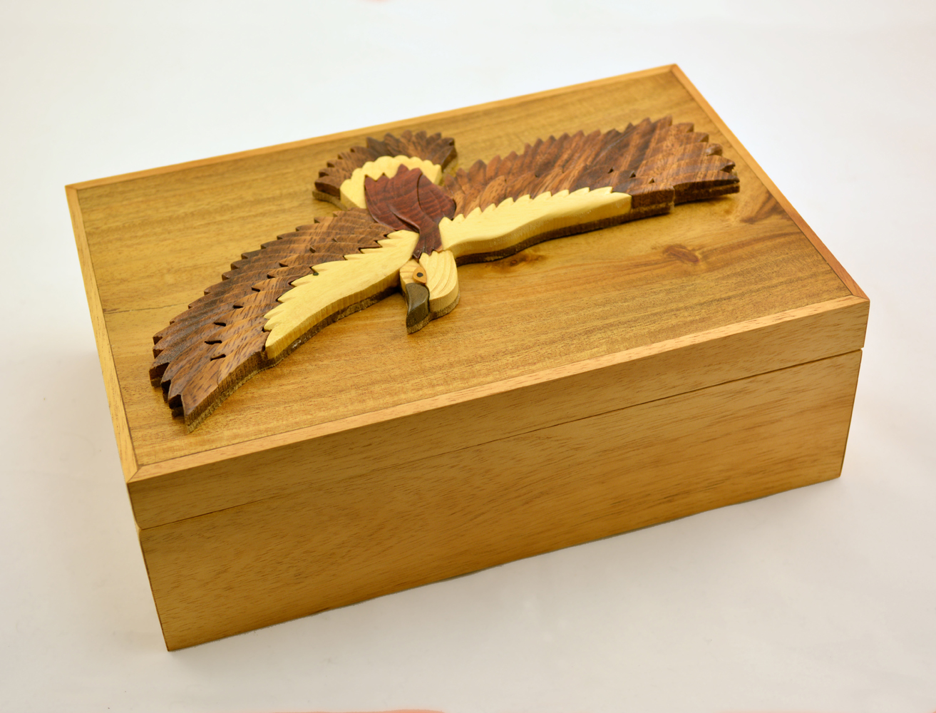 Bald eagle cigar box