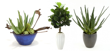 Indoors Plants Buy Online | Artificial Plants on 1001Shops